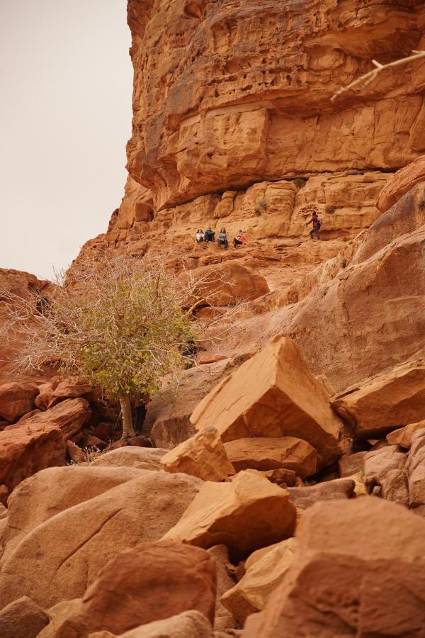 Готель Quite Bedouin Life Ваді-Рам Екстер'єр фото